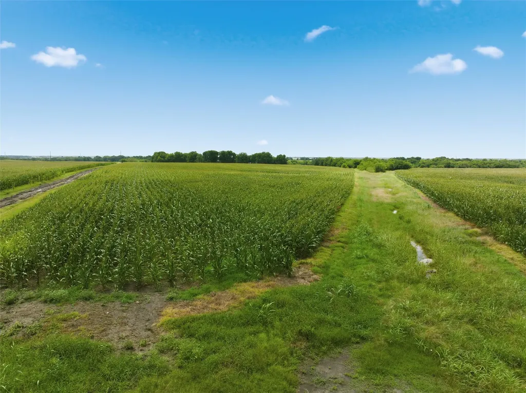 290 Hcr 3424 W Malone TX 76660