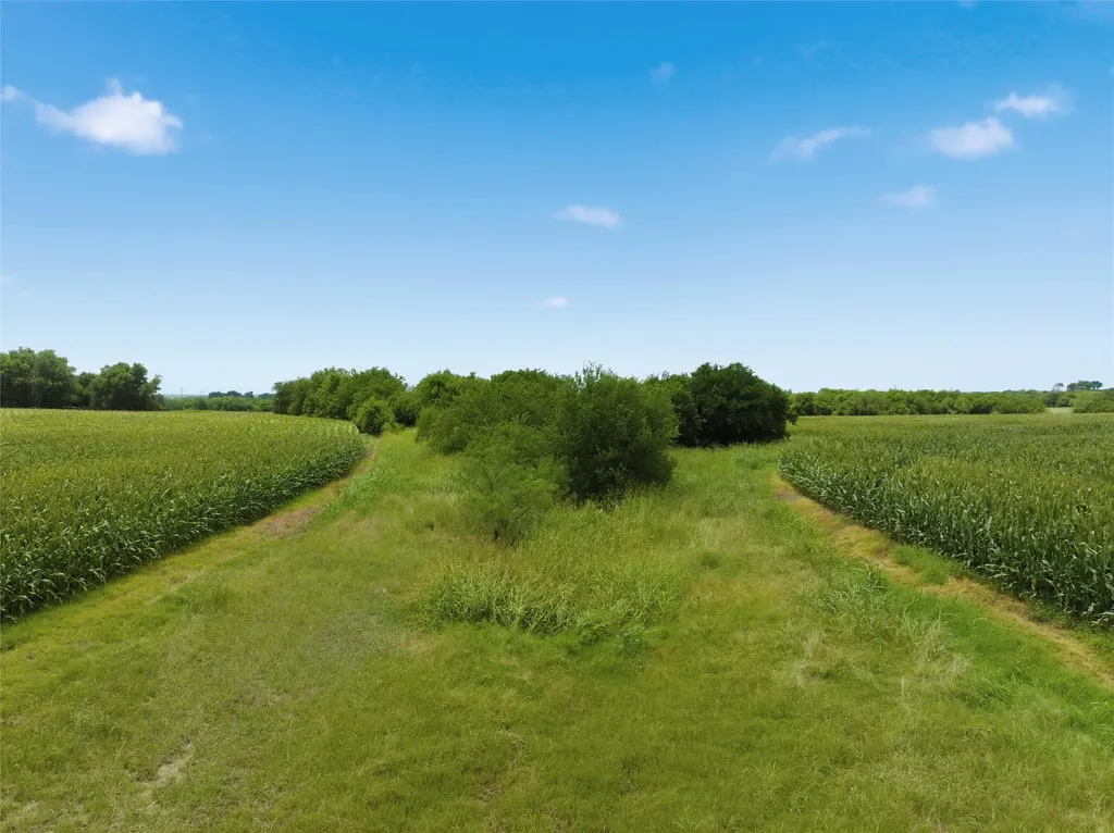 290 Hcr 3424 W Malone TX 76660
