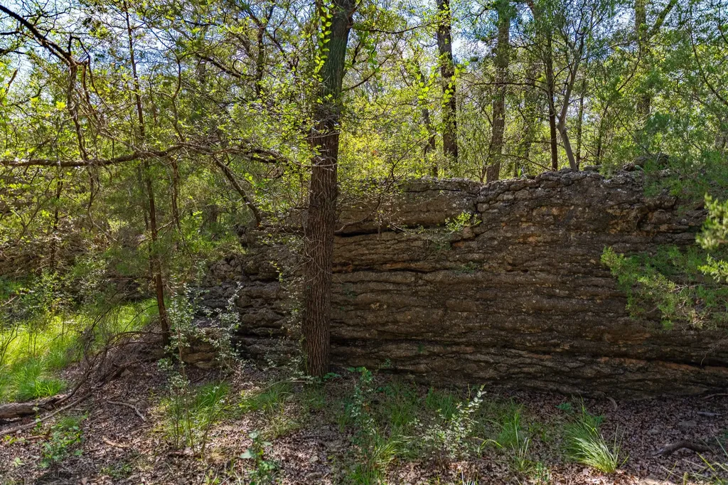 Tbd Cr 224 No City TX 76827