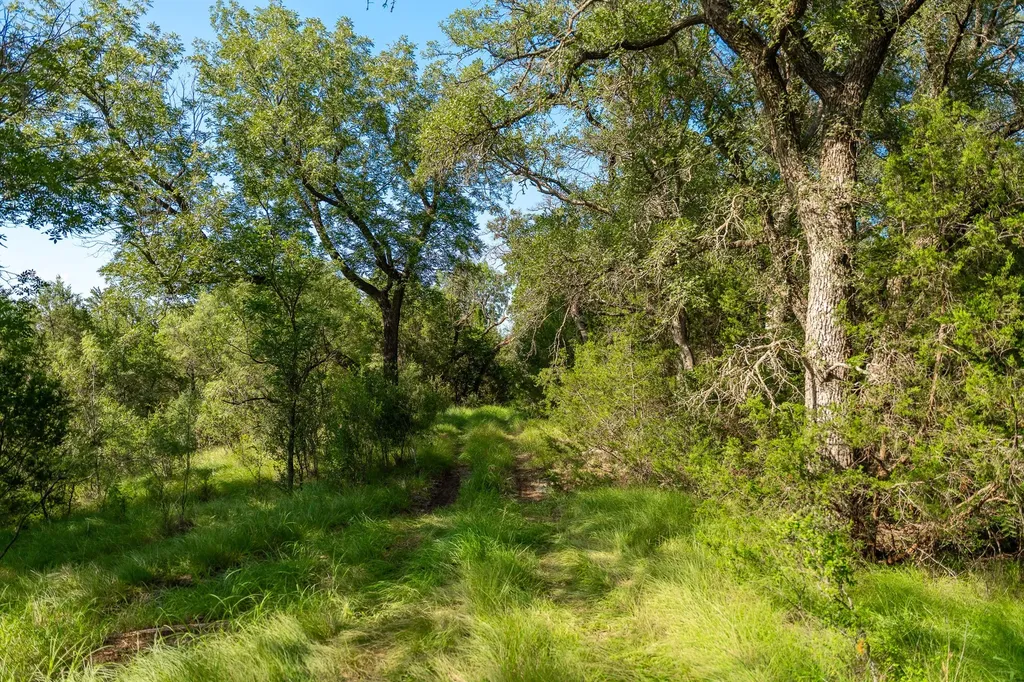 Tbd Cr 224 No City TX 76827