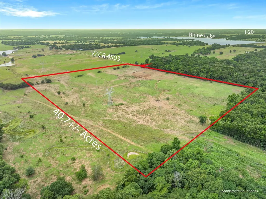 40.72 Acres Vz County Road 4503 Ben Wheeler TX 75754