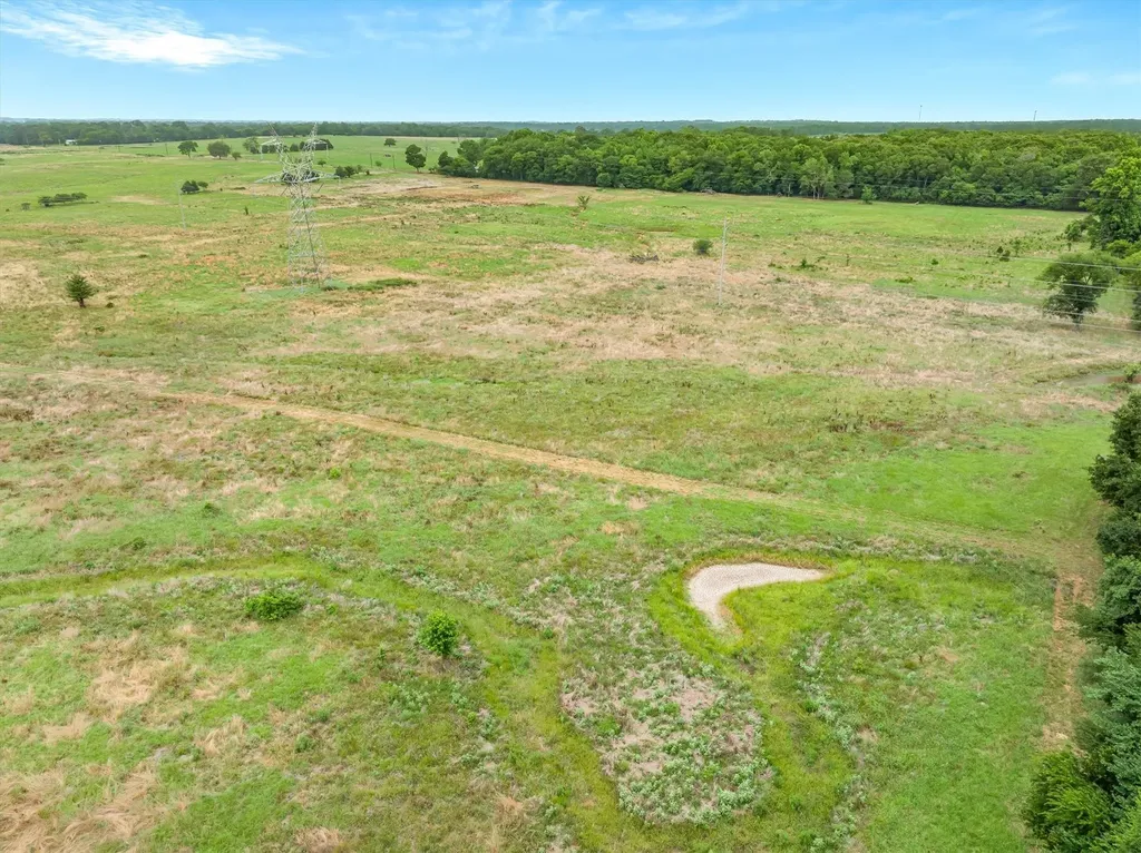40.72 Acres Vz County Road 4503 Ben Wheeler TX 75754