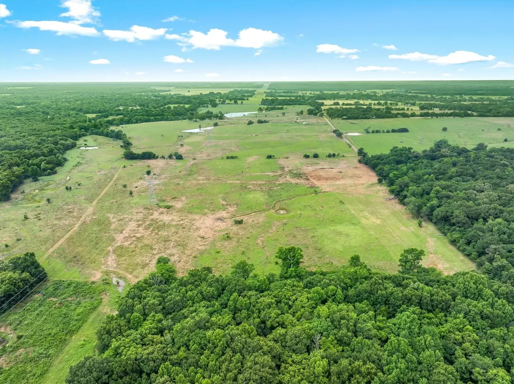 40.72 Acres Vz County Road 4503 Ben Wheeler TX 75754