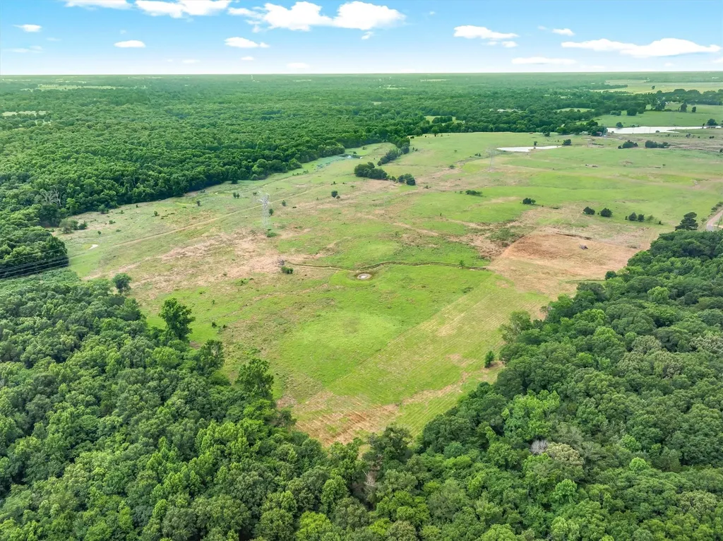 40.72 Acres Vz County Road 4503 Ben Wheeler TX 75754