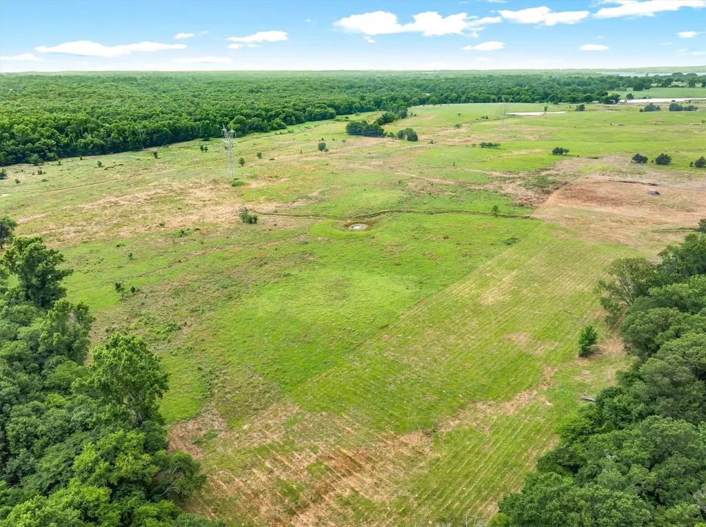 40.72 Acres Vz County Road 4503 Ben Wheeler TX 75754