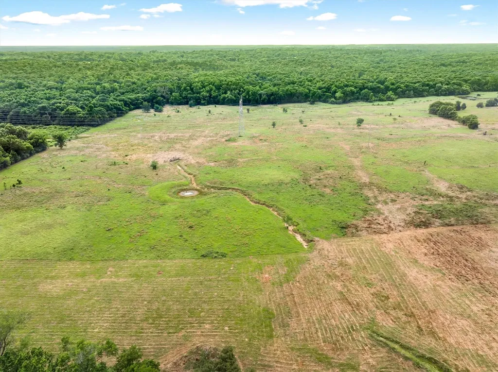 40.72 Acres Vz County Road 4503 Ben Wheeler TX 75754