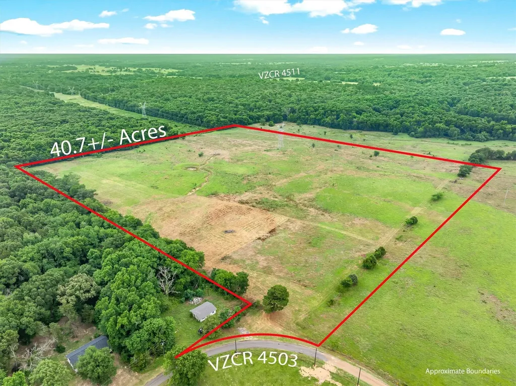 40.72 Acres Vz County Road 4503 Ben Wheeler TX 75754