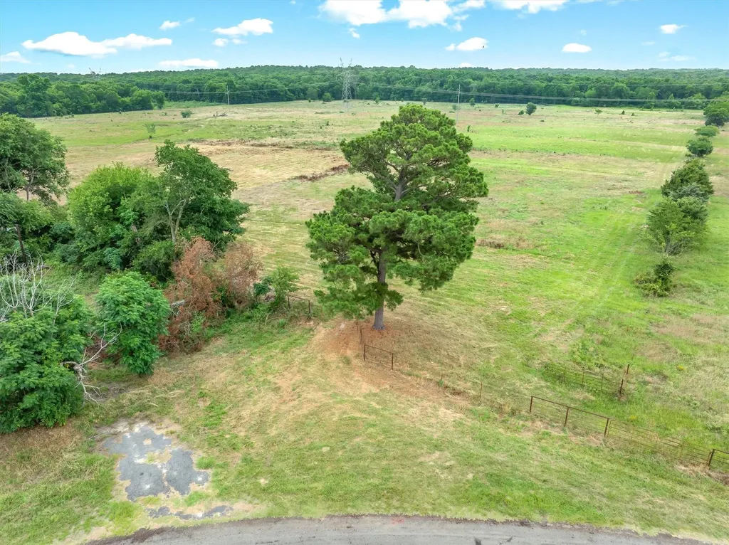 40.72 Acres Vz County Road 4503 Ben Wheeler TX 75754