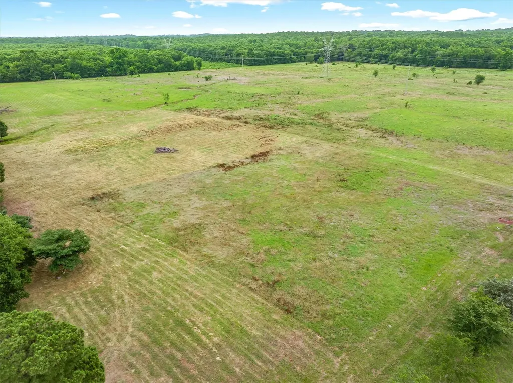 40.72 Acres Vz County Road 4503 Ben Wheeler TX 75754