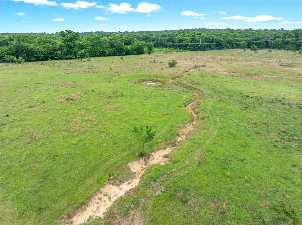 40.72 Acres Vz County Road 4503 Ben Wheeler TX 75754