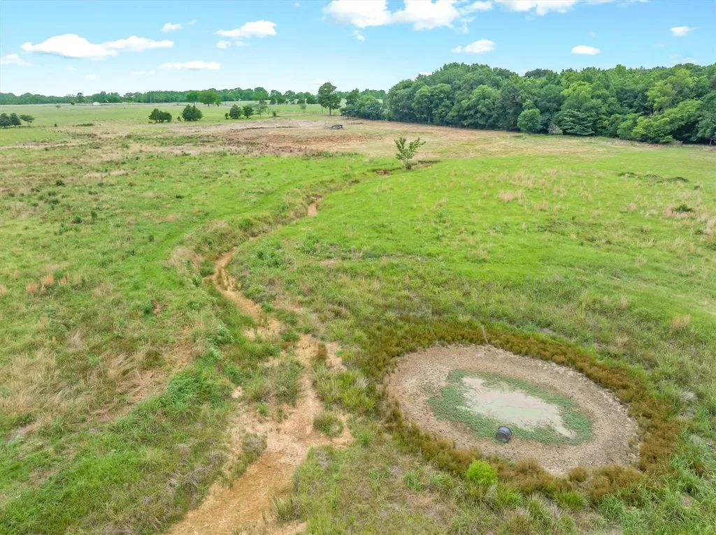 40.72 Acres Vz County Road 4503 Ben Wheeler TX 75754