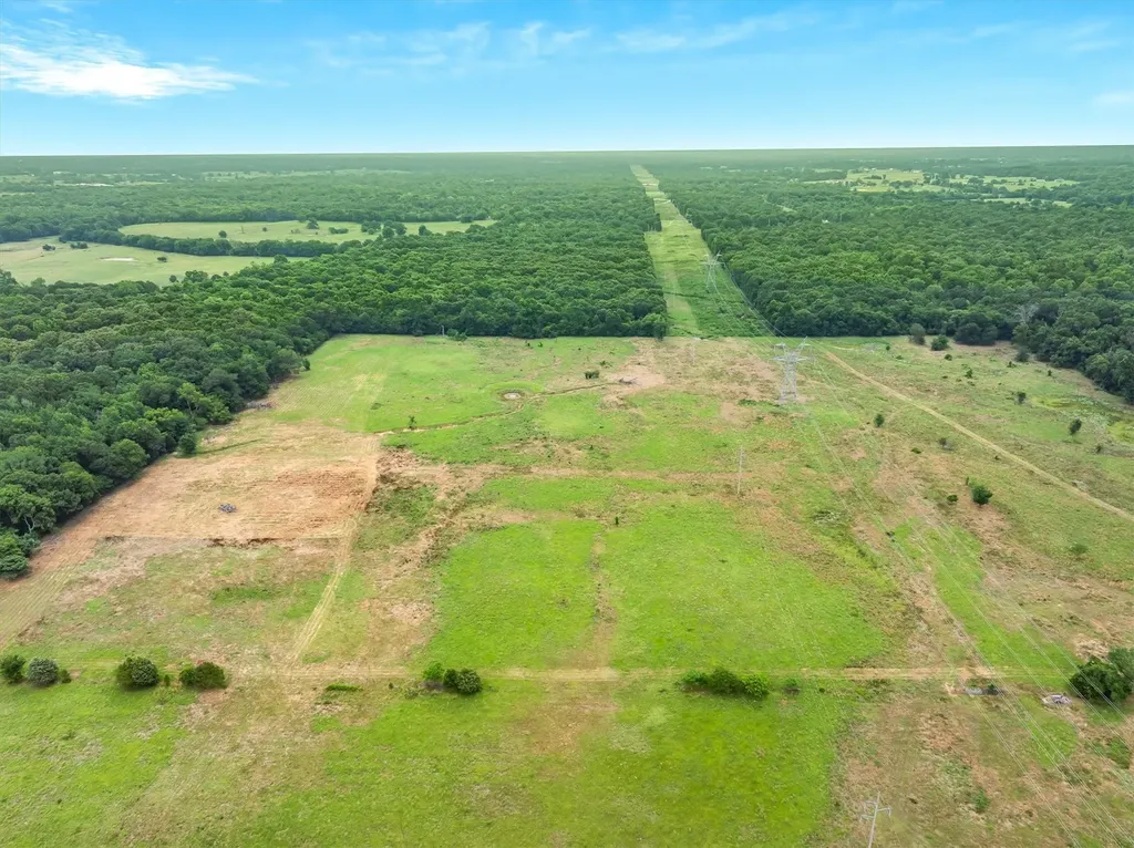 40.72 Acres Vz County Road 4503 Ben Wheeler TX 75754