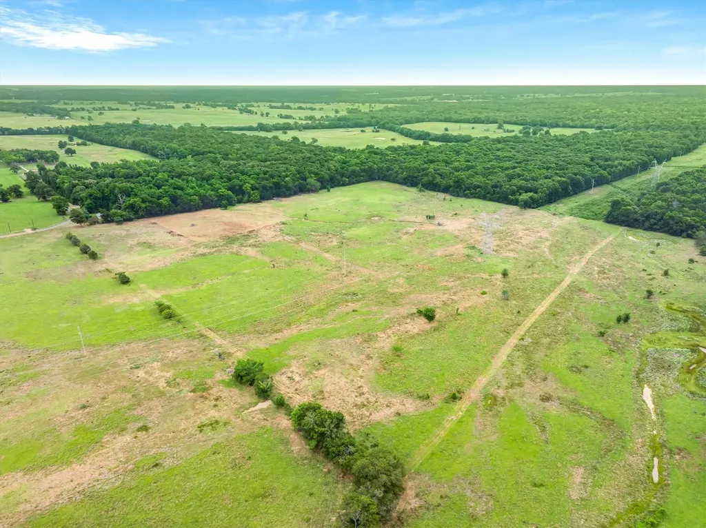 40.72 Acres Vz County Road 4503 Ben Wheeler TX 75754
