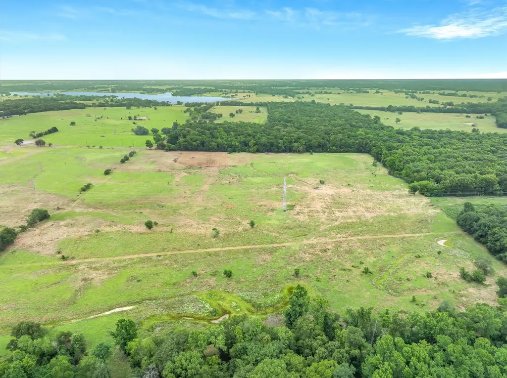 40.72 Acres Vz County Road 4503 Ben Wheeler TX 75754