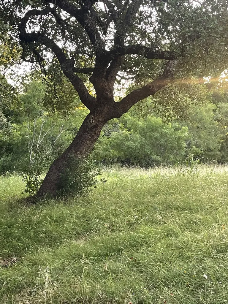 Lot 15 Orange Plume Horseshoe Bay TX 78657