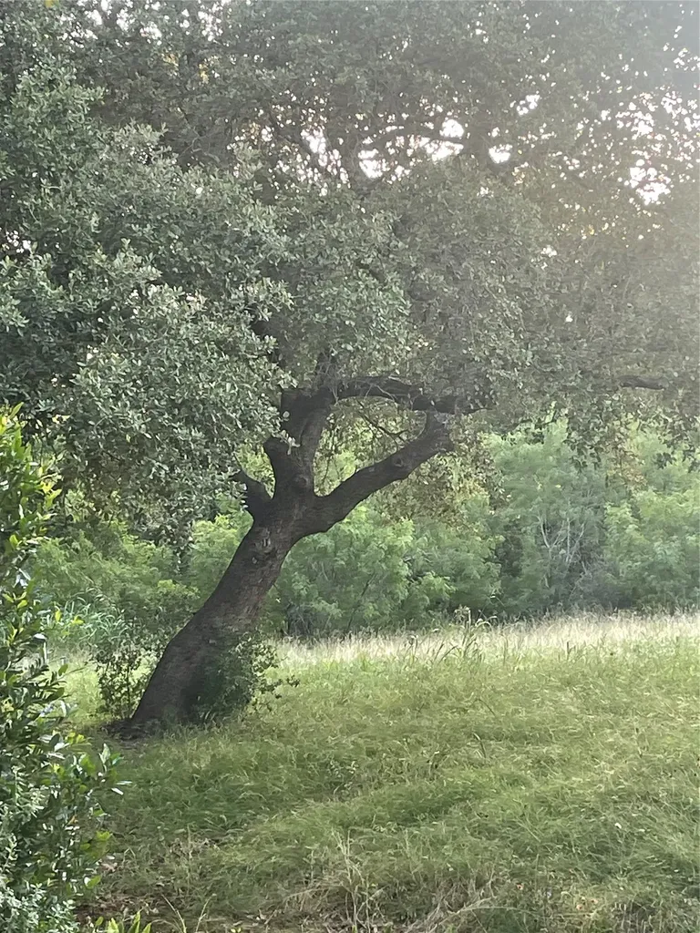 Lot 15 Orange Plume Horseshoe Bay TX 78657