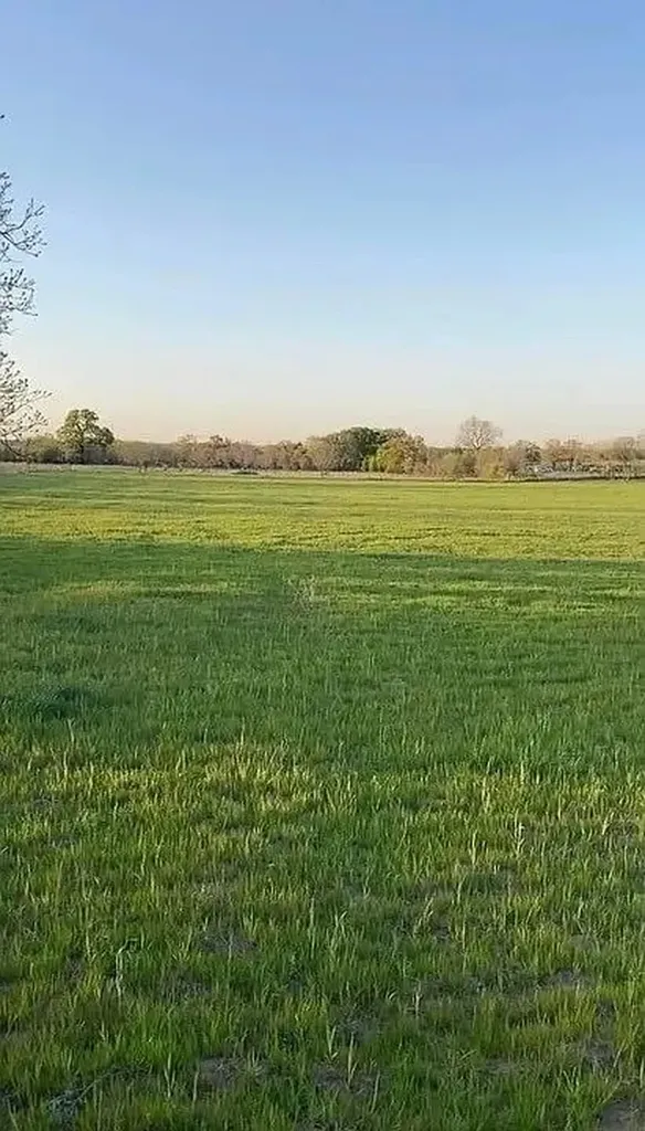 Lot 1 County Road 3424 Bridgeport TX 76426