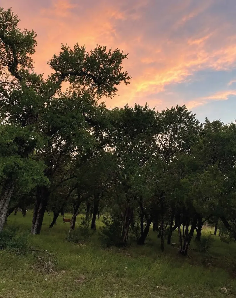 Lot K14011 Mountain Dew Horseshoe Bay TX 78657
