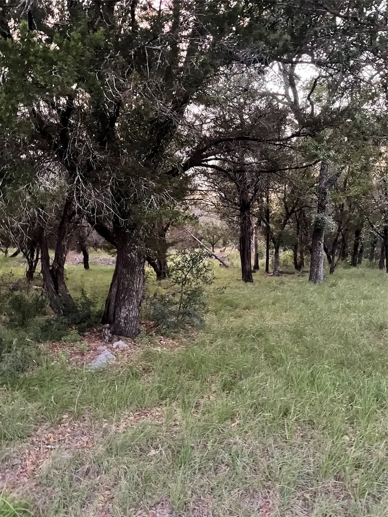 Lot K14011 Mountain Dew Horseshoe Bay TX 78657