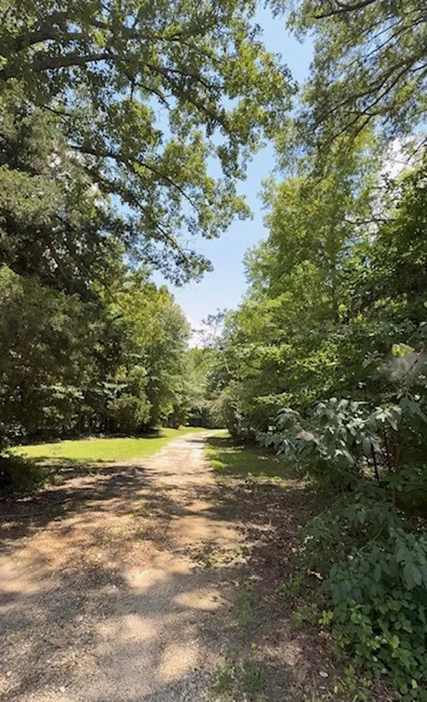 16912 Fm 44 Avery TX 75554