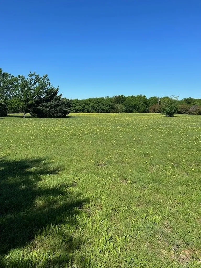 41 Man O War Lane Fairview TX 75069