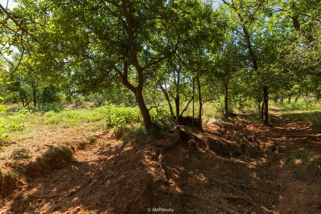 1363 County Road 441 Sweetwater TX 79556