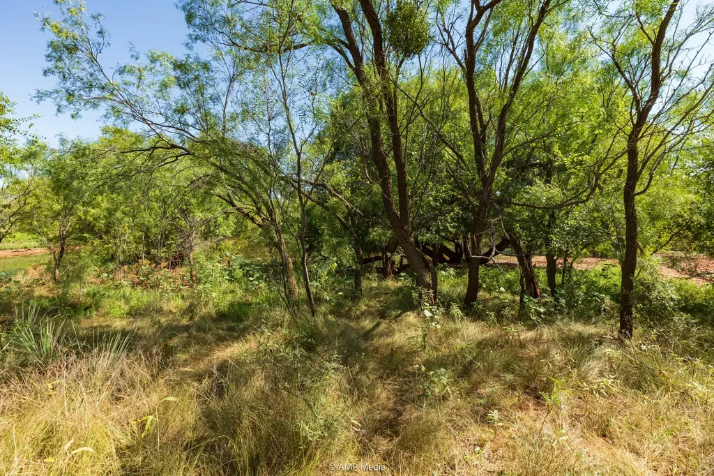 1363 County Road 441 Sweetwater TX 79556