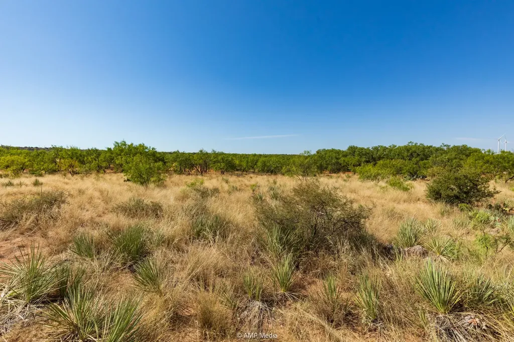 1363 County Road 441 Sweetwater TX 79556
