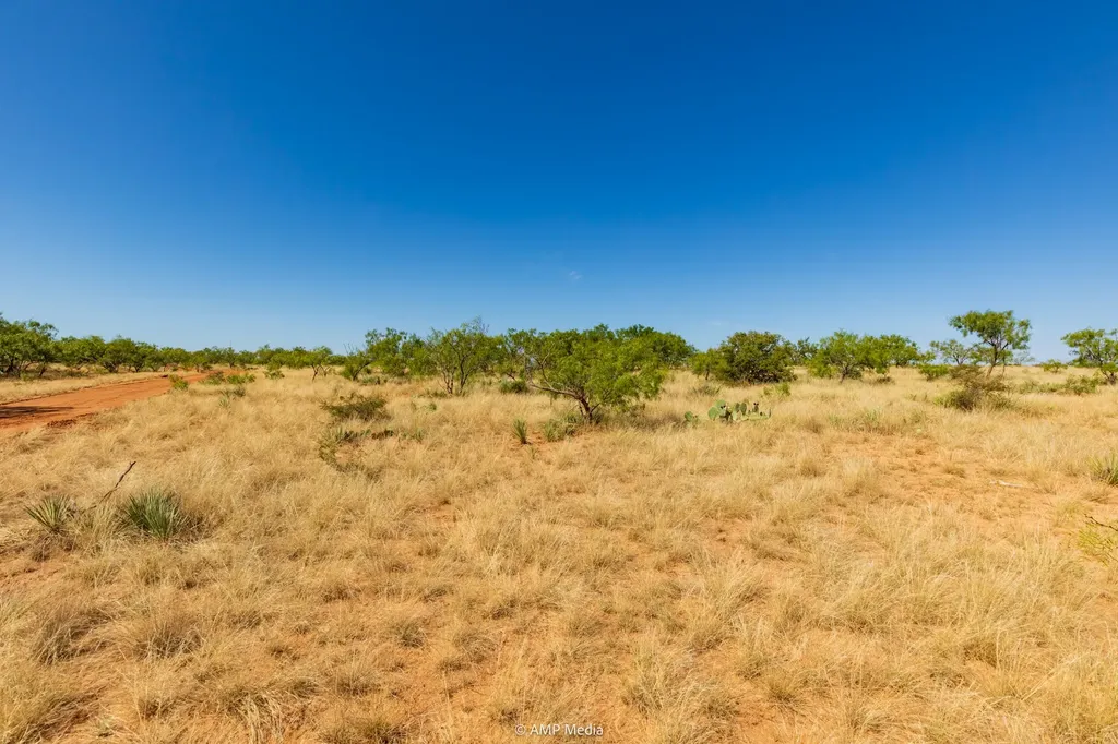 1363 County Road 441 Sweetwater TX 79556
