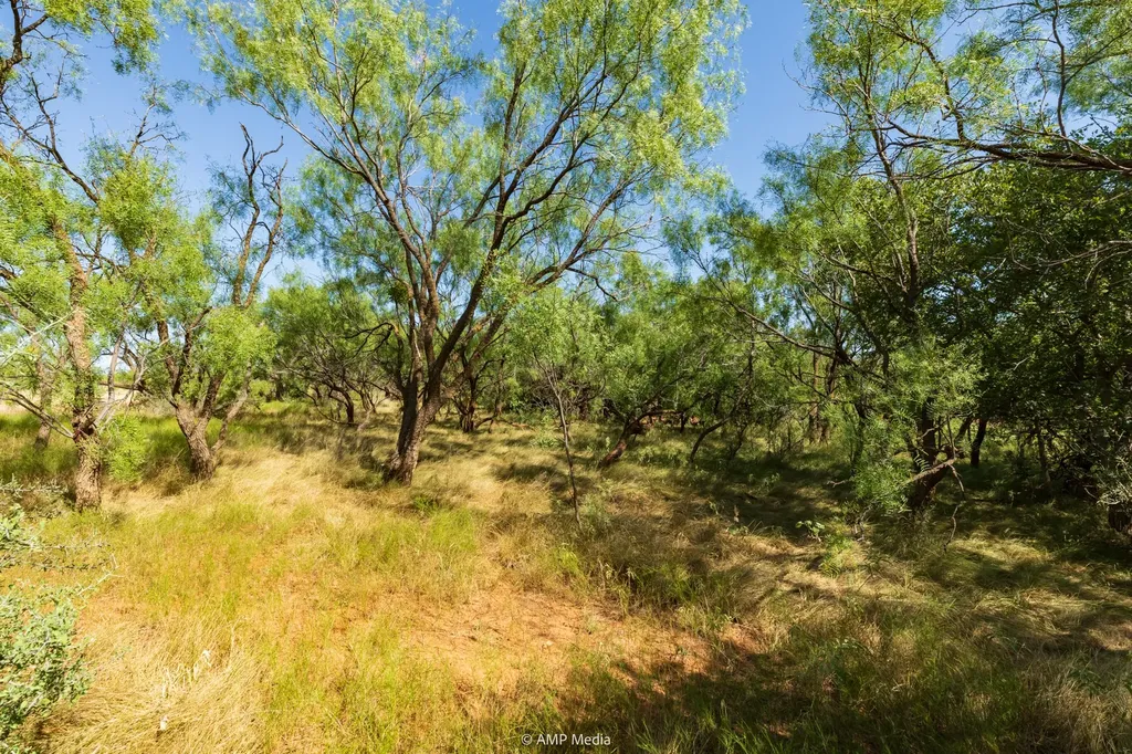 1363 County Road 441 Sweetwater TX 79556