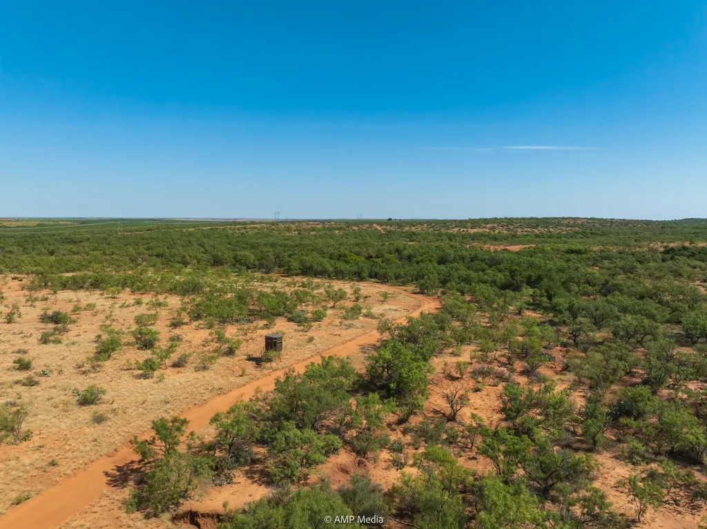 1363 County Road 441 Sweetwater TX 79556