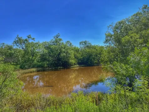 1363 County Road 441 Sweetwater TX 79556