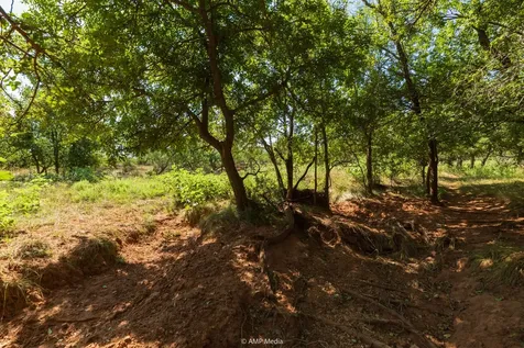 1363 County Road 441 Sweetwater TX 79556
