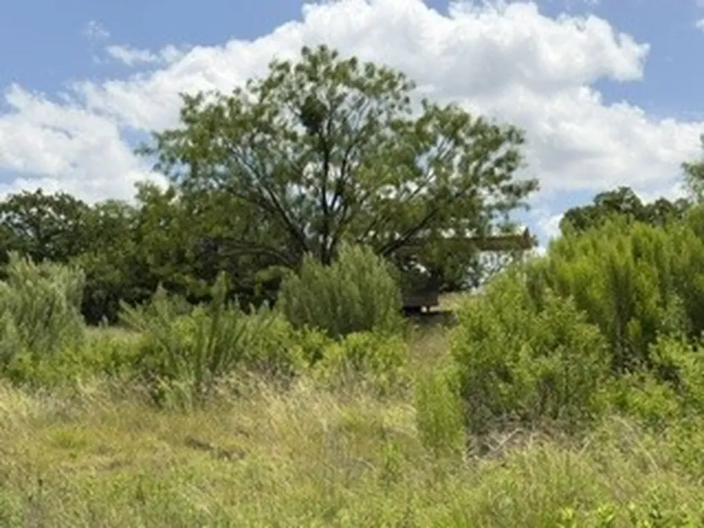 6433 Pvt Rd 2101 Cove Breckenridge TX 76424
