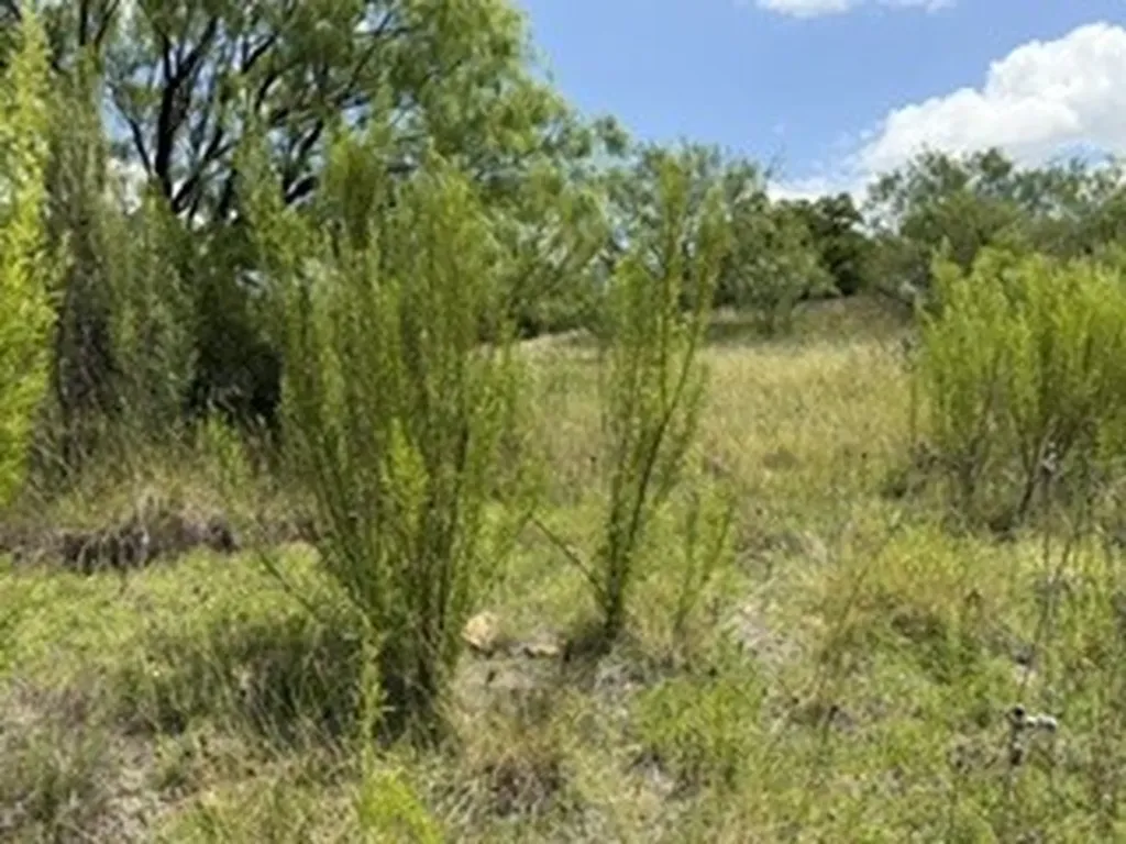 6433 Pvt Rd 2101 Cove Breckenridge TX 76424