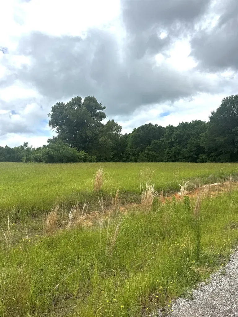Tbd Belles Lane Brownsboro TX 75756