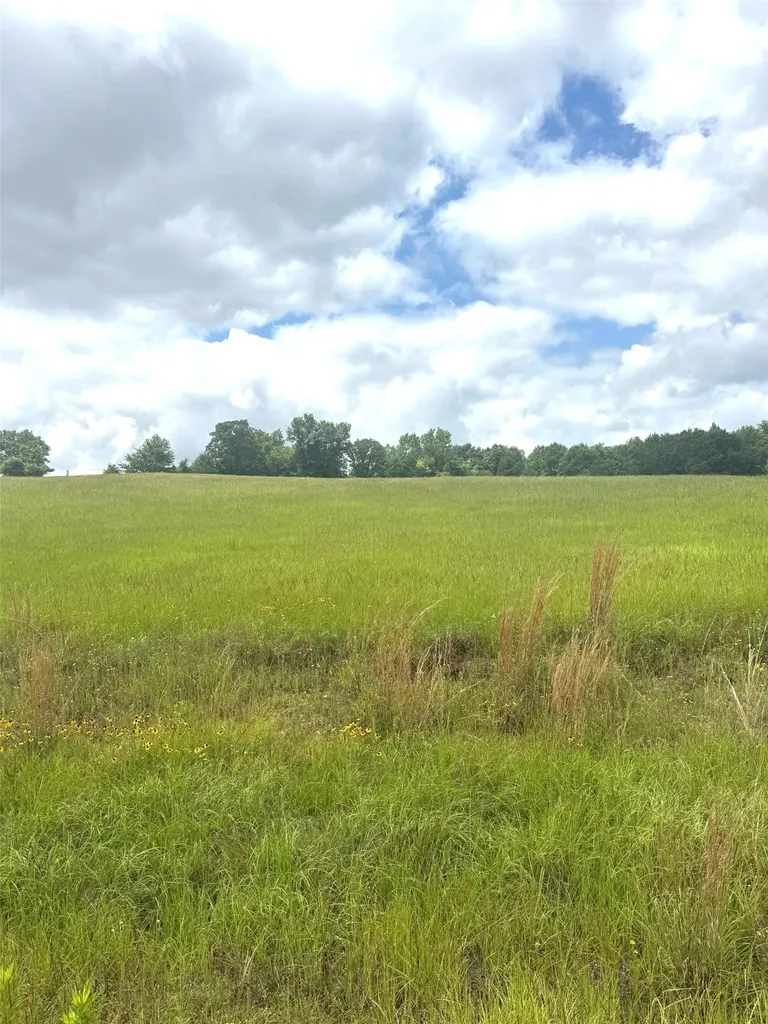 Tbd Belles Lane Brownsboro TX 75756