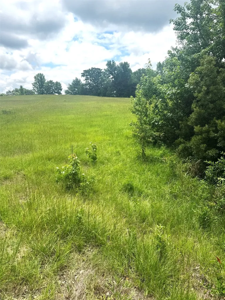 Tbd Belles Lane Brownsboro TX 75756