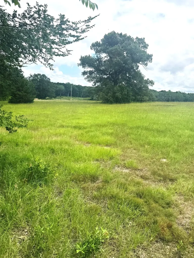 Tbd Belles Lane Brownsboro TX 75756