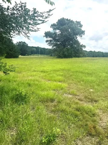 Tbd Belles Lane Brownsboro TX 75756