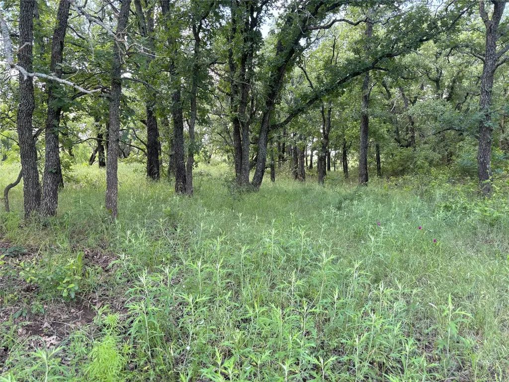 0 Sunset Lane Jacksboro TX 76458