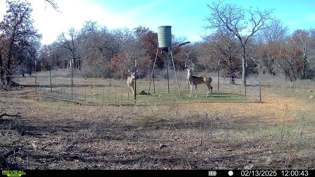 0 Sunset Lane Jacksboro TX 76458