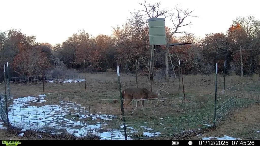 0 Sunset Lane Jacksboro TX 76458