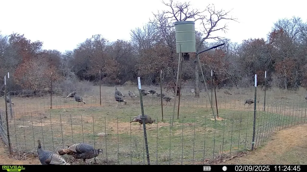 0 Sunset Lane Jacksboro TX 76458