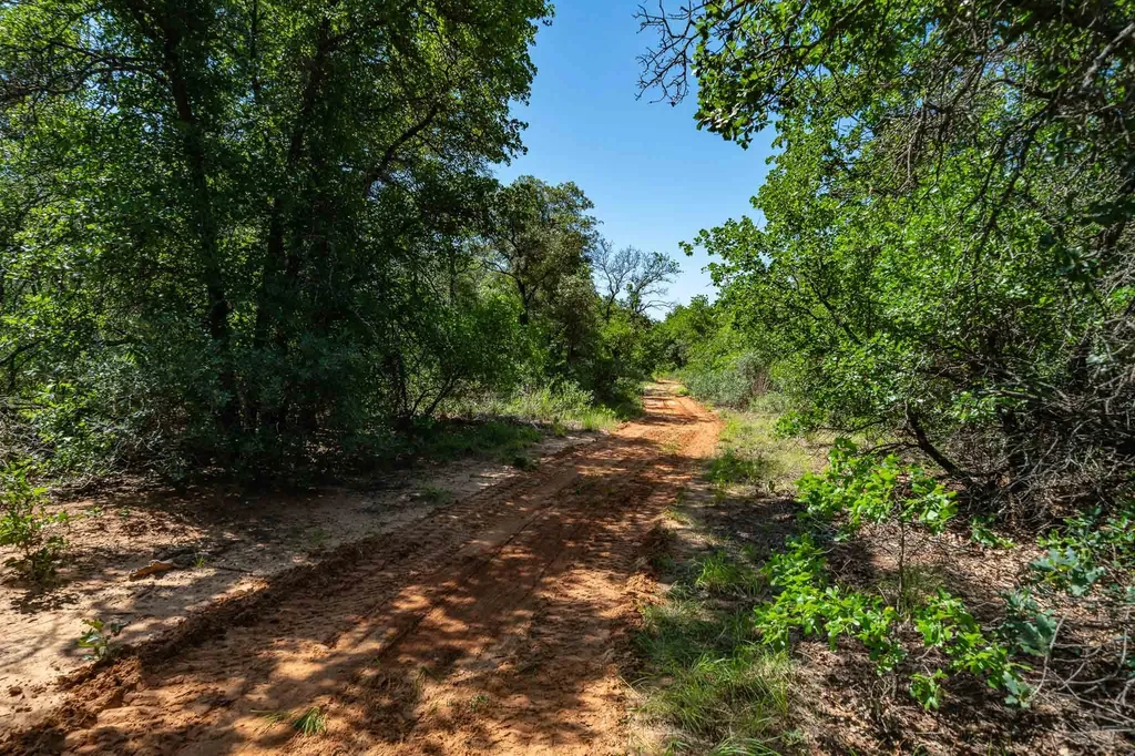 Tbd Lot#2 County Road 335 Anson TX 79501