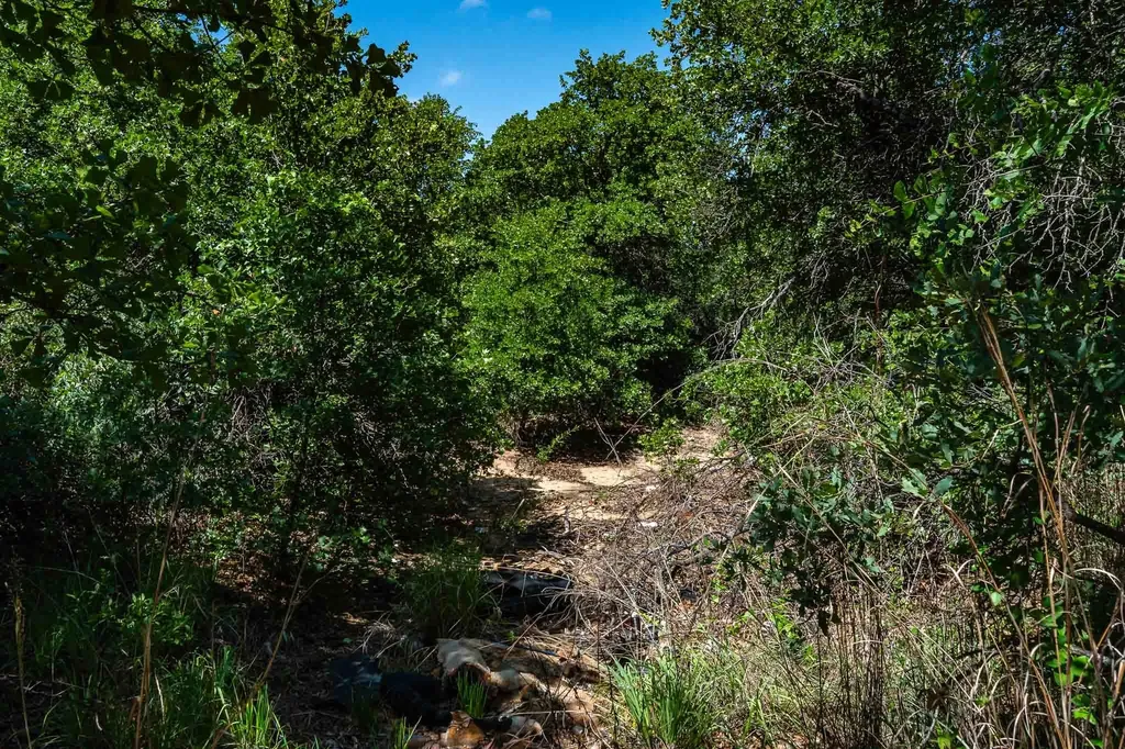 Tbd Lot#2 County Road 335 Anson TX 79501