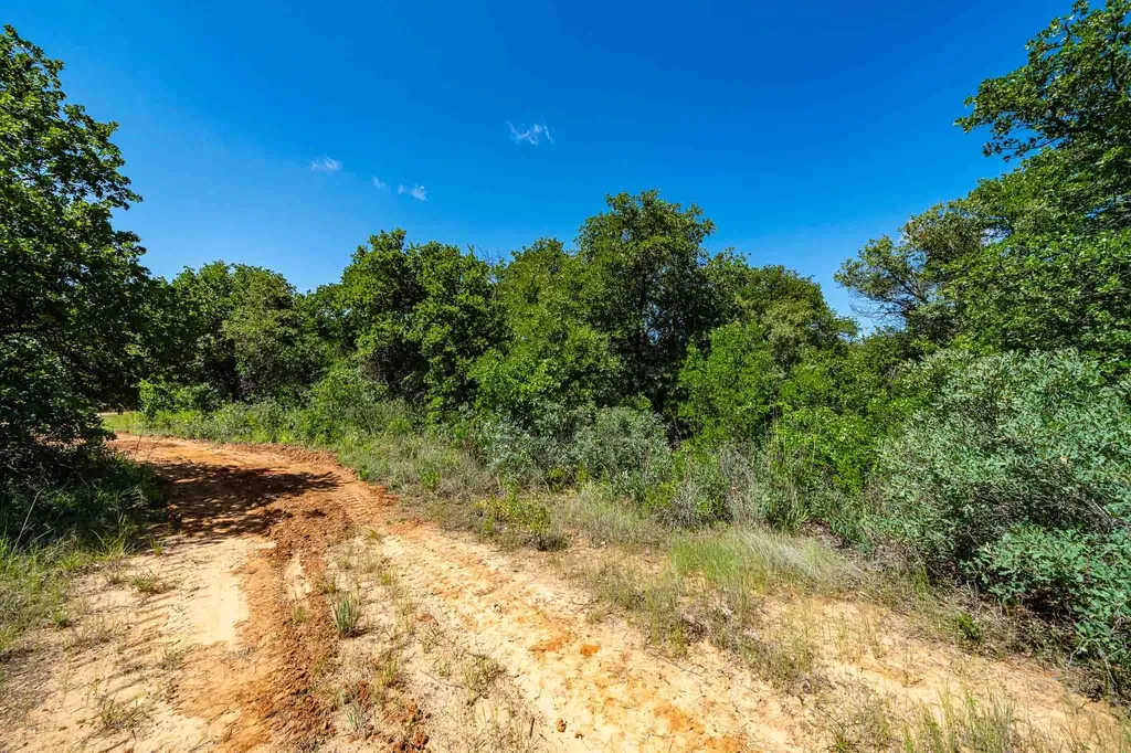 Tbd Lot#2 County Road 335 Anson TX 79501
