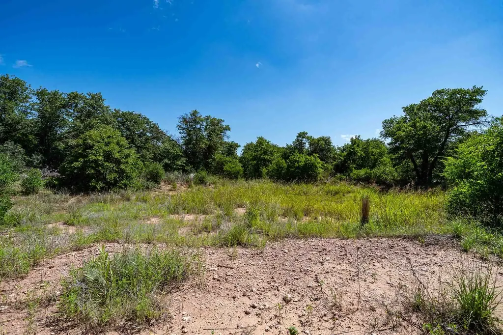 Tbd Lot#2 County Road 335 Anson TX 79501
