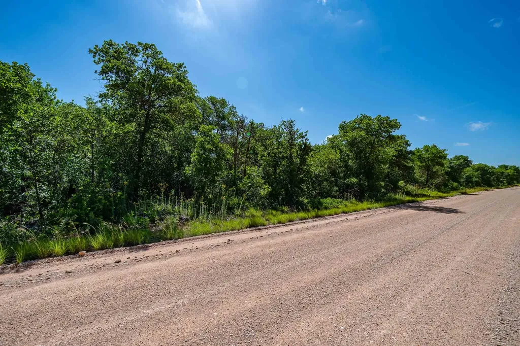 Tbd Lot#1 County Road 335 Anson TX 79501