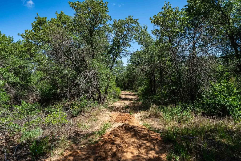 Tbd Lot#1 County Road 335 Anson TX 79501